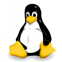 Linux: formattare pendrive da shell